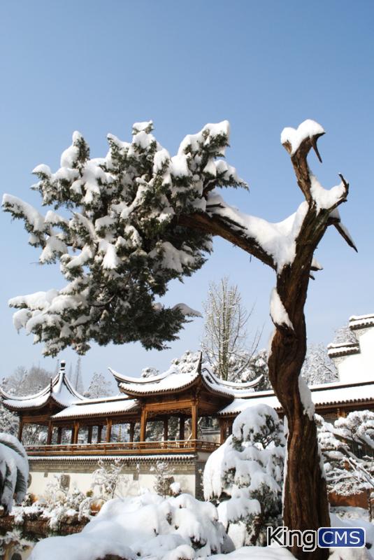 浙江也下雪了，早上拍了几张单位的雪景，大家看看[图4]