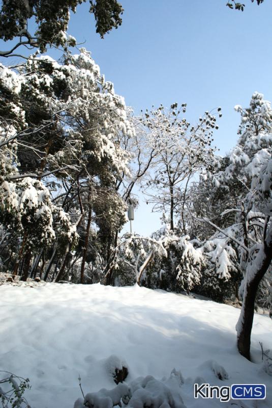 浙江也下雪了，早上拍了几张单位的雪景，大家看看[图6]