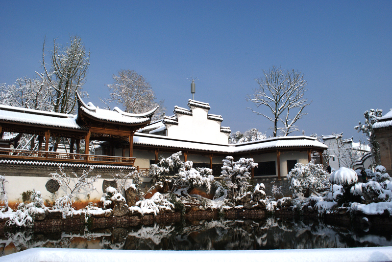 浙江也下雪了，早上拍了几张单位的雪景，大家看看[图2]