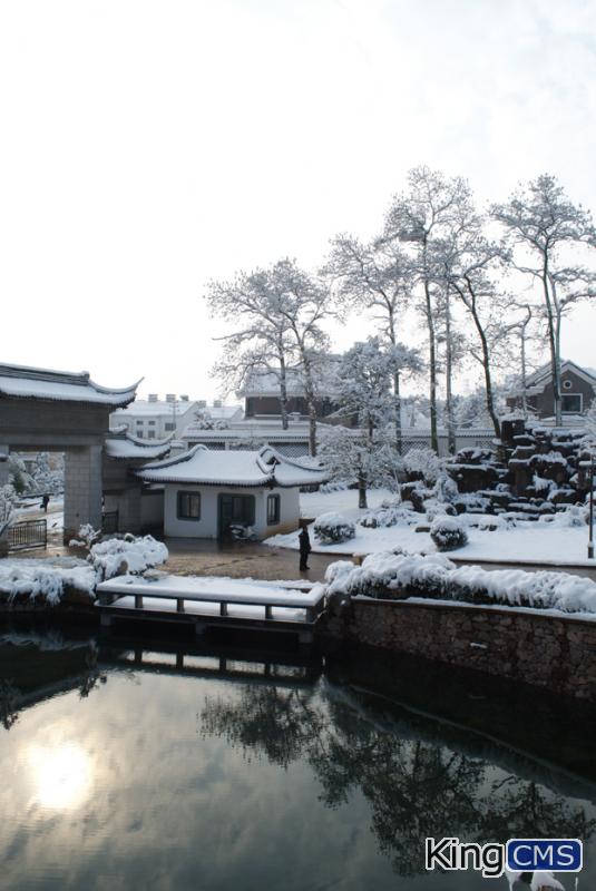 浙江也下雪了，早上拍了几张单位的雪景，大家看看[图3]