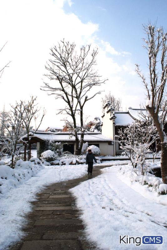 浙江也下雪了，早上拍了几张单位的雪景，大家看看[图5]