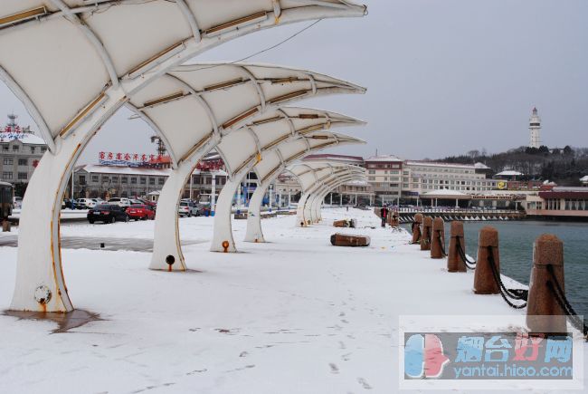 烟台雪景[图1]