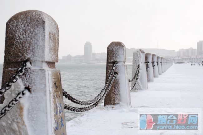 烟台雪景[图1]