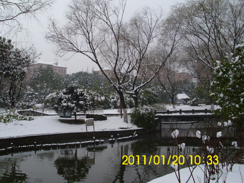 刚出炉的雪景照[图4]