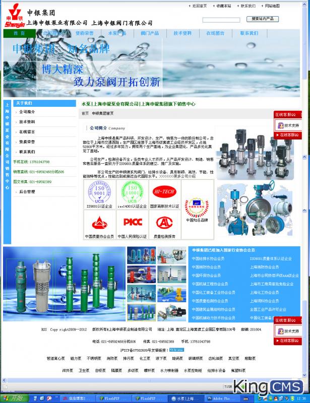 分享一个水泵阀门企业网的整套模板,我仿照他人de[图1]