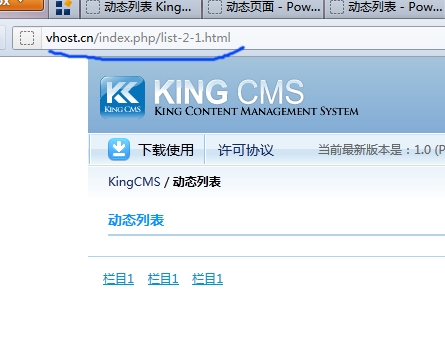 终于搞定了Nginx下KingCMS的伪静态配置[图1]