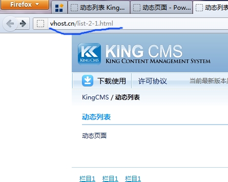 终于搞定了Nginx下KingCMS的伪静态配置[图1]