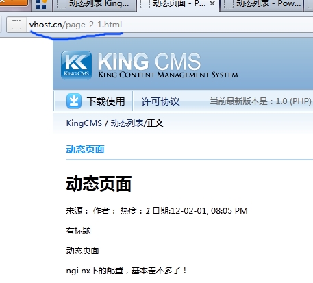 终于搞定了Nginx下KingCMS的伪静态配置[图2]